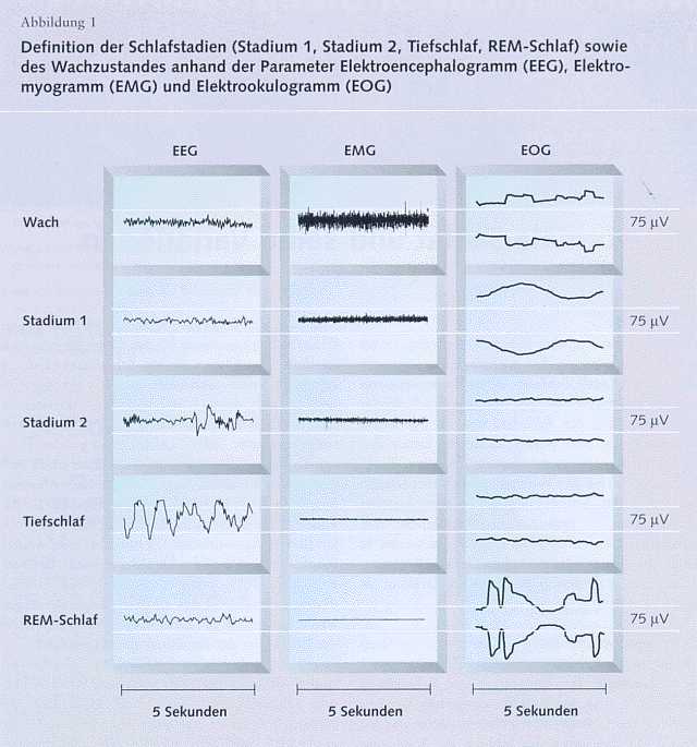 einschlafen in 60 sekunden
